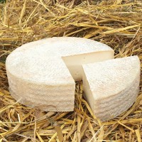 Сыры   - Молочная продукция "ЗОЛОТОЕ качество", Москва